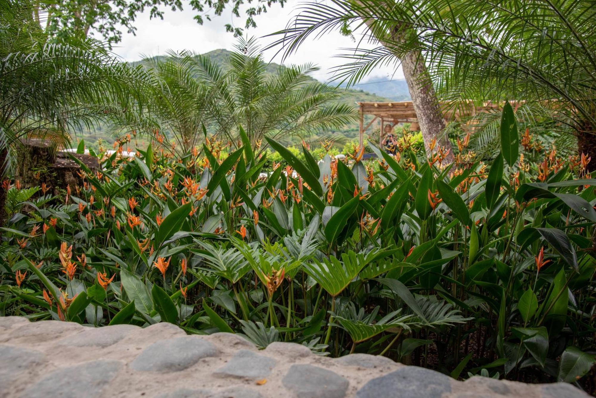 Nativa Refugio Escondido Hotel ซานตาเฟเดอันตีโอเกีย ภายนอก รูปภาพ